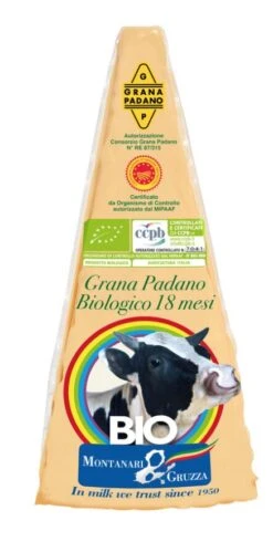 Bio Montanari & Gruzza Grana Padano D.O.P., 200 Gr Stück