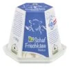 Schlierbacher Schaffrischkäse Natur, 150 Gr Packung 2 Schlierbacher Schaffrischkäse Natur, 150 Gr Packung -Deutschland Essen Verkäufe 2024 190798