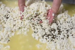 St. Leonhardter Biokäserei Camembert Mit Nuß, Ca. 180 Gr , Mind. 48% -Deutschland Essen Verkäufe 2024 Abfullem Pfeffer 2