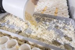 St. Leonhardter Biokäserei Camembert Mit Nuß, Ca. 180 Gr , Mind. 48% -Deutschland Essen Verkäufe 2024 Abfullen 1 2