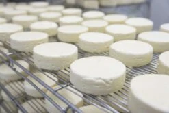 St. Leonhardter Biokäserei Camembert Mit Nuß, Ca. 180 Gr , Mind. 48% -Deutschland Essen Verkäufe 2024 Reiferaum 2
